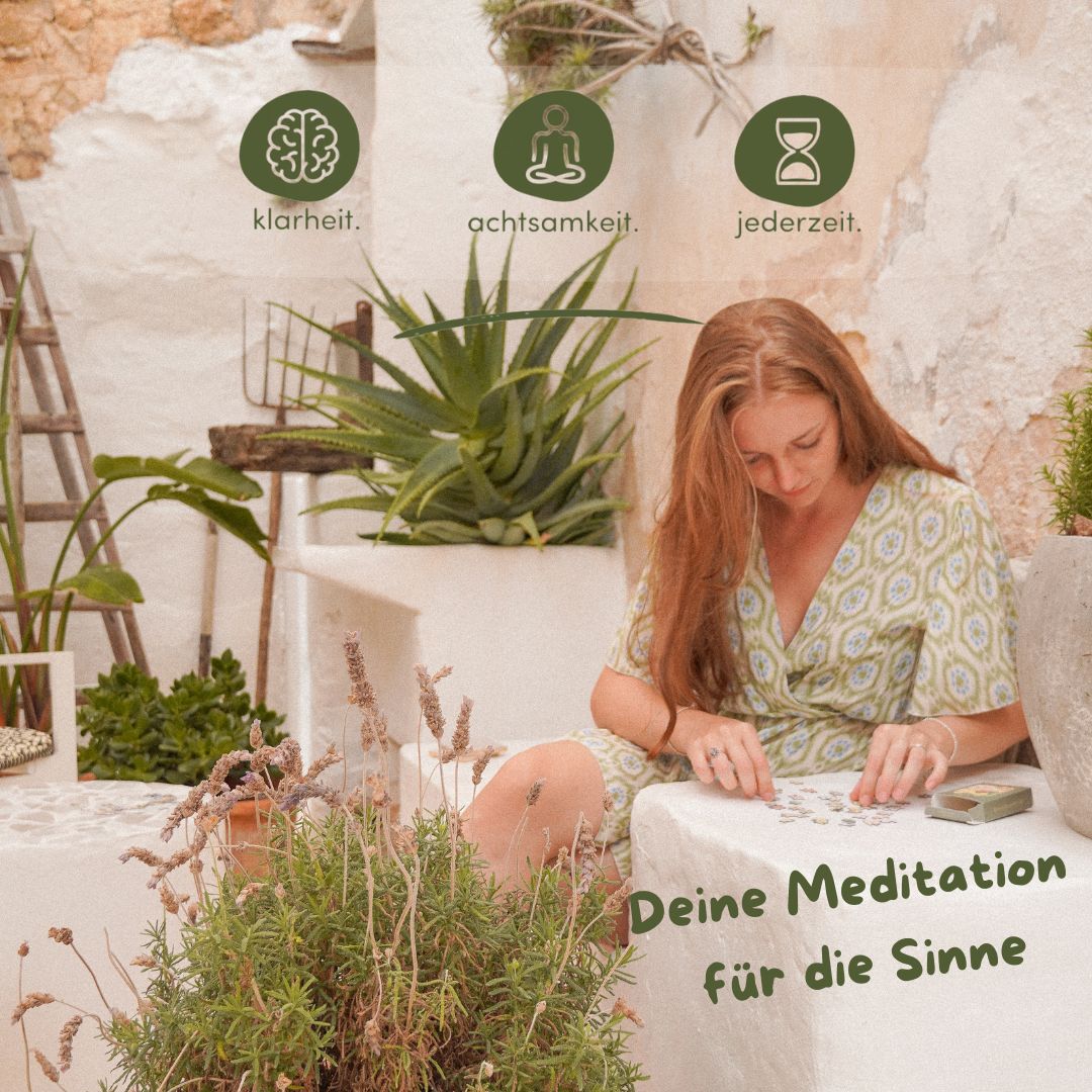 new wabi collection 21er Bundle