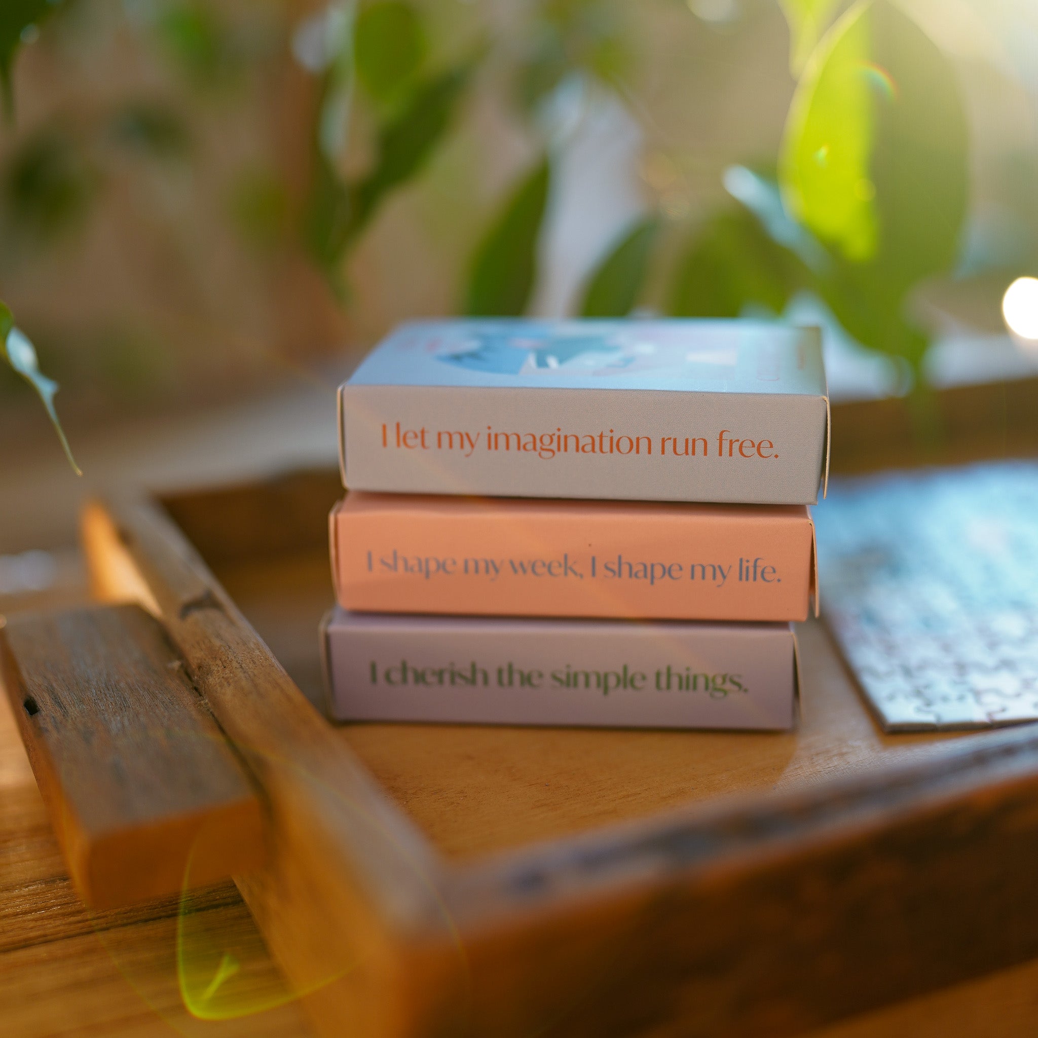 new beginnings 3er Bundle